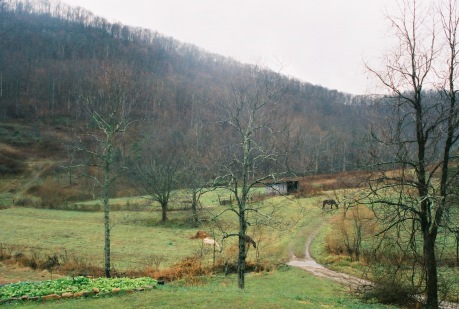 kentucky-landscape-with-horses-at-snug-hollow